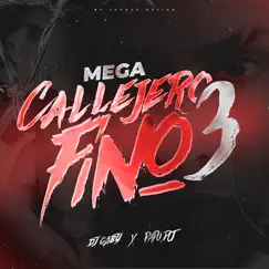 Callejero Fino Rkt 3 - Single by Papu DJ & Dj Gaby album reviews, ratings, credits