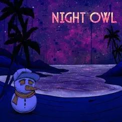 Night Owl Song Lyrics