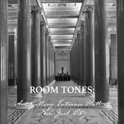 Room Tones: Art Gallery Entrance Hall in New York City by Nowak Sommer album reviews, ratings, credits