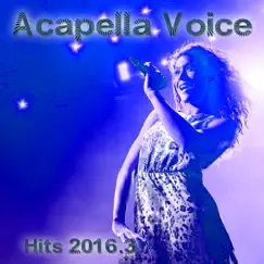 Cheap Thrills (feat. Josanne) [Acapella Vocal Version BPM 132] Song Lyrics