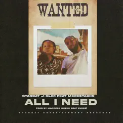 All I Need (feat. Mere$tacks) Song Lyrics