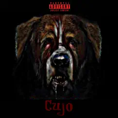 Cujo (feat. Shun1K & SB Jayy) - Single by 775 album reviews, ratings, credits
