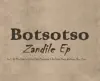 Zandile (feat. Botsotso & DJ Charl) song lyrics