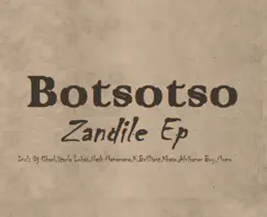 Zandile (feat. Botsotso & DJ Charl) Song Lyrics
