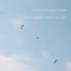 Only Good Things in Life - EP by Your Own Sanctuary album reviews, ratings, credits