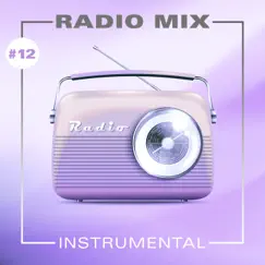 Radio Mix Instrumental #12 by The Many Mores album reviews, ratings, credits