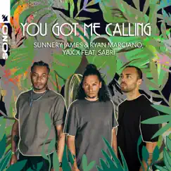 You Got Me Calling (feat. SABRI) - Single by Sunnery James & Ryan Marciano & YAX.X album reviews, ratings, credits