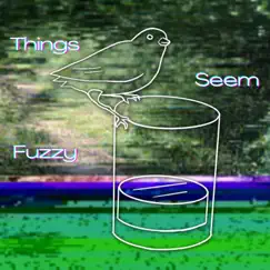 Things Seem Fuzzy - Single by Noise Complaint album reviews, ratings, credits