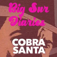 Big Sur Diaries - Single by COBRA SANTA album reviews, ratings, credits
