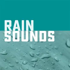 Rainfall in Summer Garden Song Lyrics