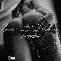 Buss It Down (feat. Vic Fontaine) - Single by Ice The Don album reviews, ratings, credits
