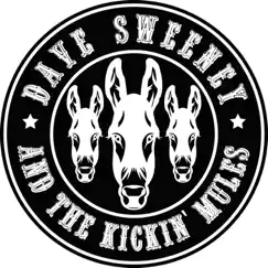 Little Thing - Single by Dave Sweeney and the Kickin' Mules album reviews, ratings, credits