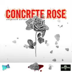 Concrete Rose Song Lyrics
