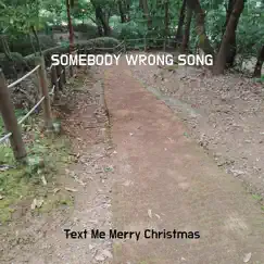 Somebody Wrong Song Song Lyrics