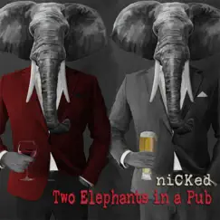 Two Elephants in a Pub Song Lyrics