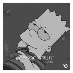 Passionfruit (Lofi Version) Song Lyrics