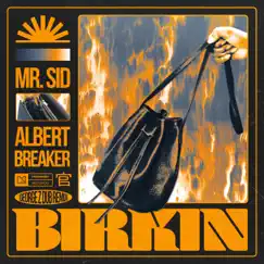 Birkin (George Z Dub Remix) Song Lyrics