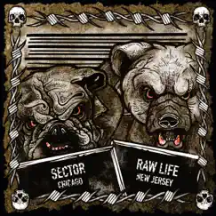 Sector (Chicago) / Raw Life (New Jersey) - EP by Sector album reviews, ratings, credits
