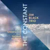 The Constant album lyrics, reviews, download