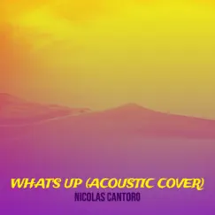What's up (Acoustic Cover) - Single by Nicolas Cantoro album reviews, ratings, credits