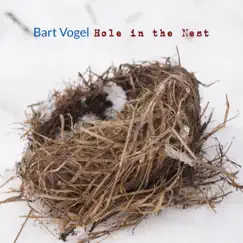Hole in the Nest - Single by Bart Vogel album reviews, ratings, credits