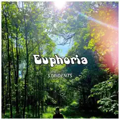 Euphoria Song Lyrics