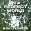 In a Perfect World - Single album lyrics, reviews, download