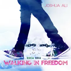 Walking In Freedom - Single by Joshua Ali album reviews, ratings, credits