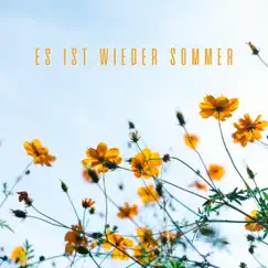 Es ist wieder sommer - Single by Eliaz album reviews, ratings, credits