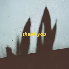 Thank You - Slowed + Reverb Song Lyrics