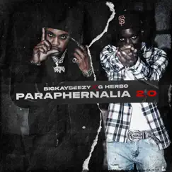 Paraphernalia 2.0 (feat. G Herbo) - Single by BigKayBeezy album reviews, ratings, credits