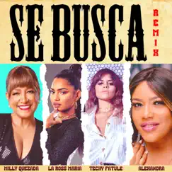 Se Busca (feat. Alexandra) [Remix] Song Lyrics