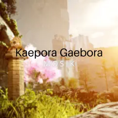 Kaepora Gaebora Song Lyrics