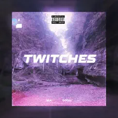 Twitches - Single by NLA DOODI album reviews, ratings, credits