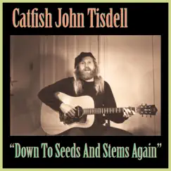 Down to Seeds and Stems Again (feat. Eric Ray) - Single by Catfish John Tisdell album reviews, ratings, credits