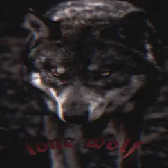 Lone Wolf Song Lyrics