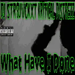 What Have I Done (feat. Kritical Distrezz) Song Lyrics