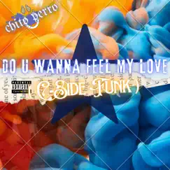 Do U Wanna Feel My Love (C Side Funk) - Single by CHITO PERRO album reviews, ratings, credits