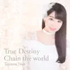 True Destiny / Chain the World - Single album lyrics, reviews, download