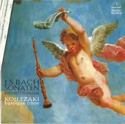 Sonata Nr. 1 h-moll, BWV 1014: IV. Allegro (Arr. for Baroque oboe & Cembalo) Song Lyrics