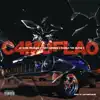 Camuflao (feat. Ac Your Problem, Gazela the Blood G & DaStreetGenie) - Single album lyrics, reviews, download
