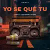 Yo Se Que Tu (Remix) - Single album lyrics, reviews, download