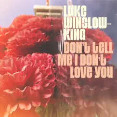 Don't Tell Me I Don't Love You - Single by Luke Winslow-King album reviews, ratings, credits