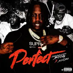 Perfect (feat. Symba) - Single by Cashclickboog album reviews, ratings, credits