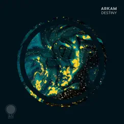 Destiny - Single by Arkam album reviews, ratings, credits