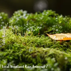 Local Woodland Rain Ambience, Pt. 20 Song Lyrics