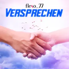 Versprechen (feat. Sarah) Song Lyrics