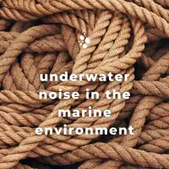 Underwater Noise in the Marine Environment by Underwater World, Whale Song & Epic Soundscapes album reviews, ratings, credits