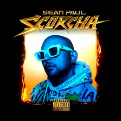 Scorcha by Sean Paul album reviews, ratings, credits