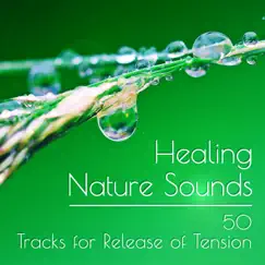 New Age Ambient Meditation Music for Natural Healing Song Lyrics